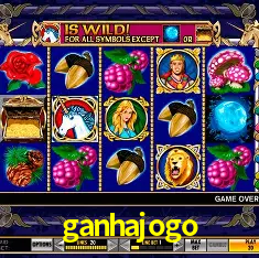 Descubra a Essência do ganhajogo: Nossa História e Compromissos