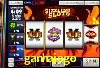 A Experiência Imersiva dos Cassinos Ao Vivo no ganhajogo