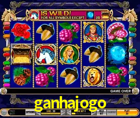 A Emoção da Loteria na ganhajogo: Uma Chance de Mudança de Vida